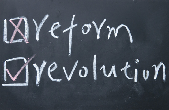 Reform or Revolution Choice