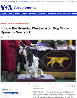 A Reuters Report posted on the VOA English news website on the Westminster Dog Show in New York had zero Facebook 'Recommends' after several hours. Earlier, VOA had failed to report in English and in many other languages on major anti-corruption protests in Bosnia.