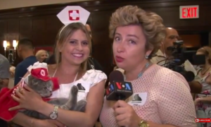 VOA Russian Video Report on Cat Fashion Show in New York Scren Shot